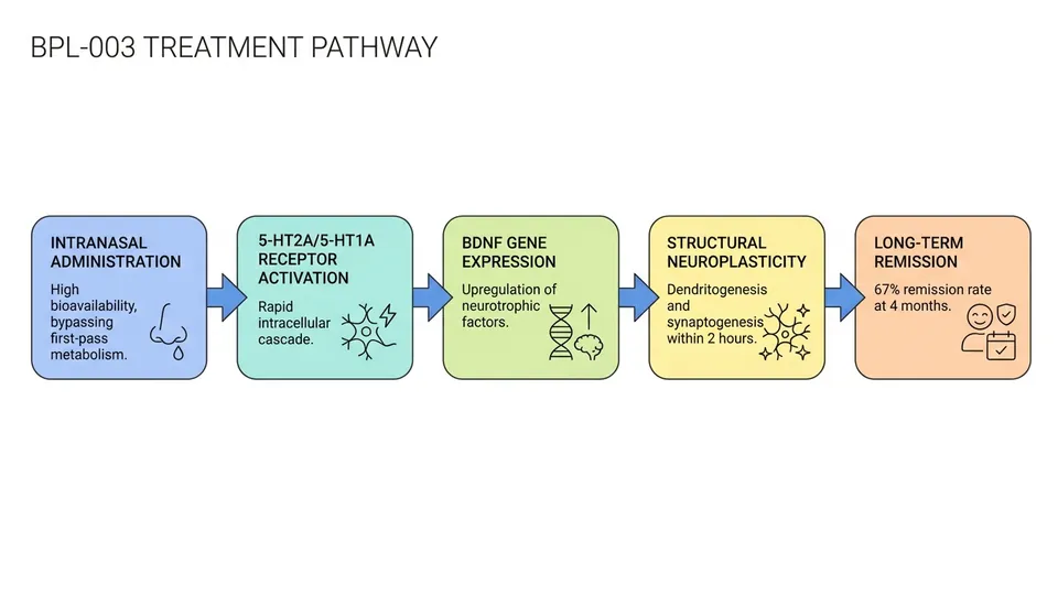 Infographic: Eli Lilly's $3.8B AtaiBeckley Deal: Re-Engineering Neuroplasticity